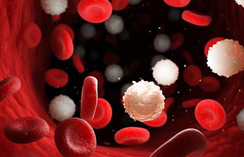 blood cancer illustration