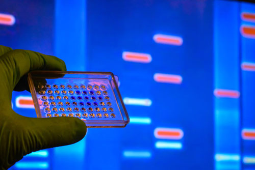 Visual of genetic phenotyping