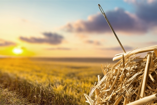 Needle in a haystack illustration