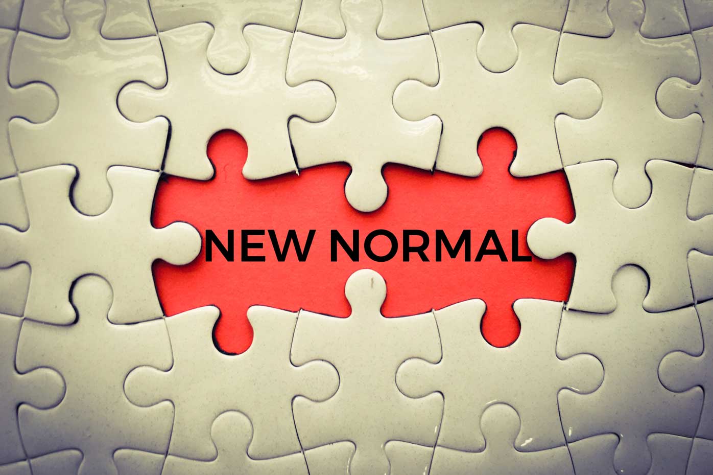 A puzzle surrounding a gap labeled New Normal