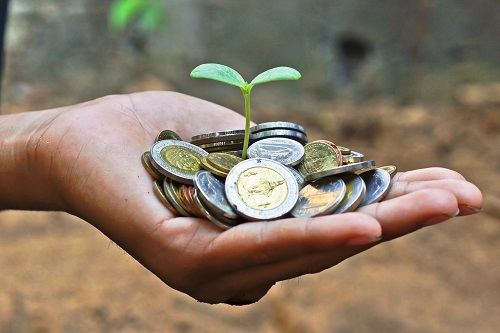 sprout emerges from coins